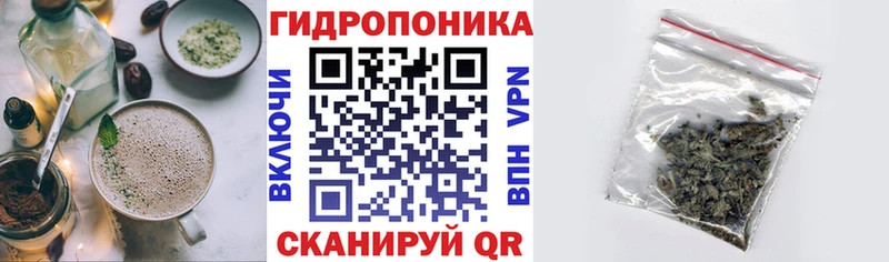 Купить где  Крымск  Canna-Cookies конопля 