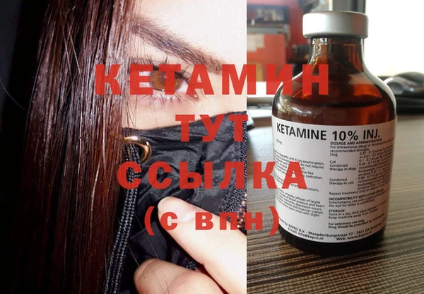 шишки Богородицк