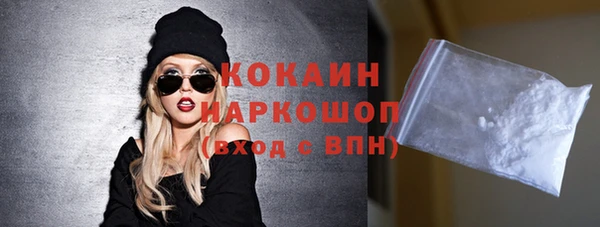 шишки Богородицк