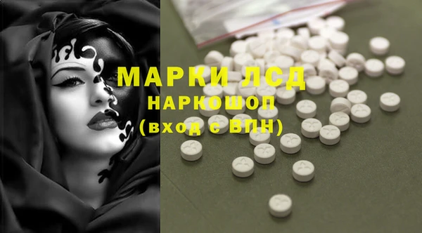 шишки Богородицк
