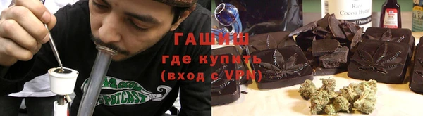 шишки Богородицк