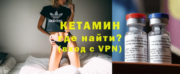 шишки Богородицк