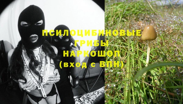 шишки Богородицк