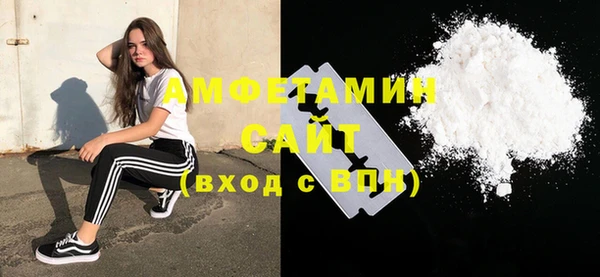 шишки Богородицк